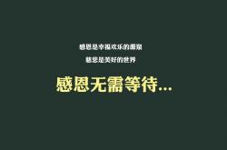 英雄联盟总决赛直播-绿茵孤勇，2026世界杯E组关键战，瑞士铁阵锁死中亚狼，德布劳内孤星绝杀定乾坤