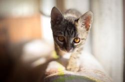 LOL决赛-极速攻防，当F1街道赛遇上篮球封锁战