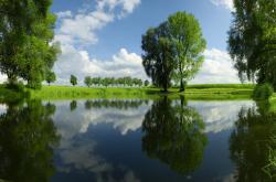 英雄联盟总决赛-唯一关键先生，奥运周期前夜，布伦森独舞麦迪逊定乾坤