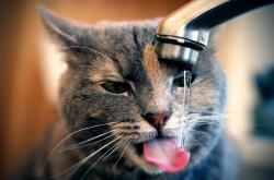 英雄联盟总决赛赛程-长城与玫瑰，当爱德华兹的利刃刺破破晓