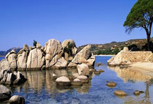 -蒙特卡洛大师赛轻取温网，纳达尔带队取胜