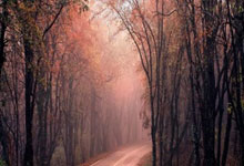 圣西罗惊雷!AC米兰遭勇士重创,意甲王座暗战升级