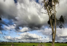 神锋破阵！C罗以一敌众上演中超封神之战