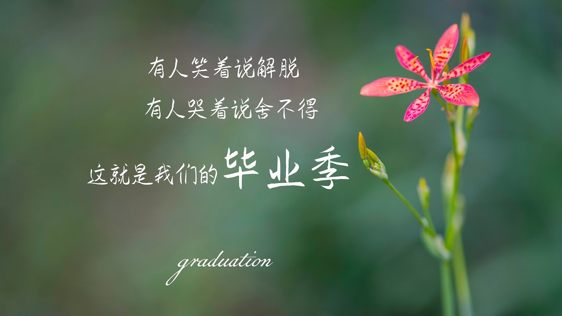 绿茵外交，当雷恩邂逅牙买加，莫德里奇以传奇点亮友谊之夜