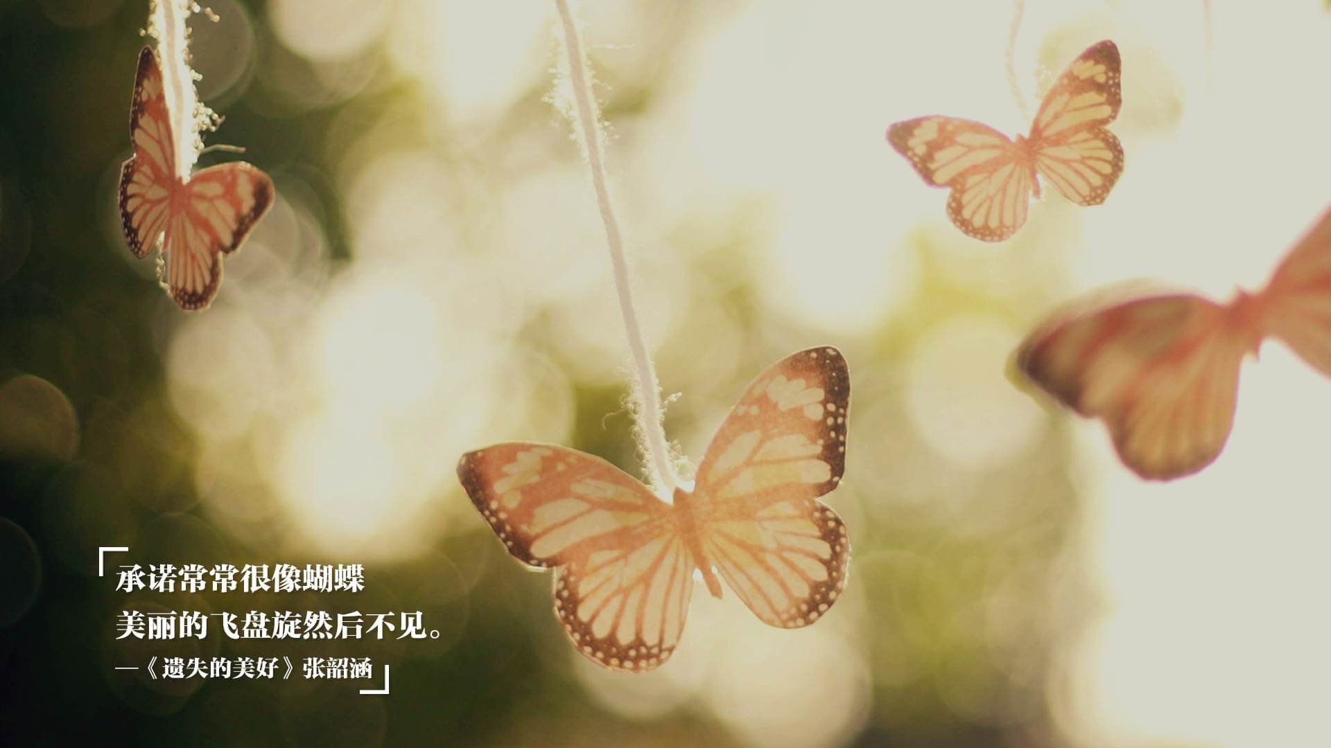 看到你提供的这几个跨越地理和领域的词汇,我脑海中立刻浮现出一场充满戏剧性的国际足球赛,以及一位亚洲球星闪烁的职业生涯高光