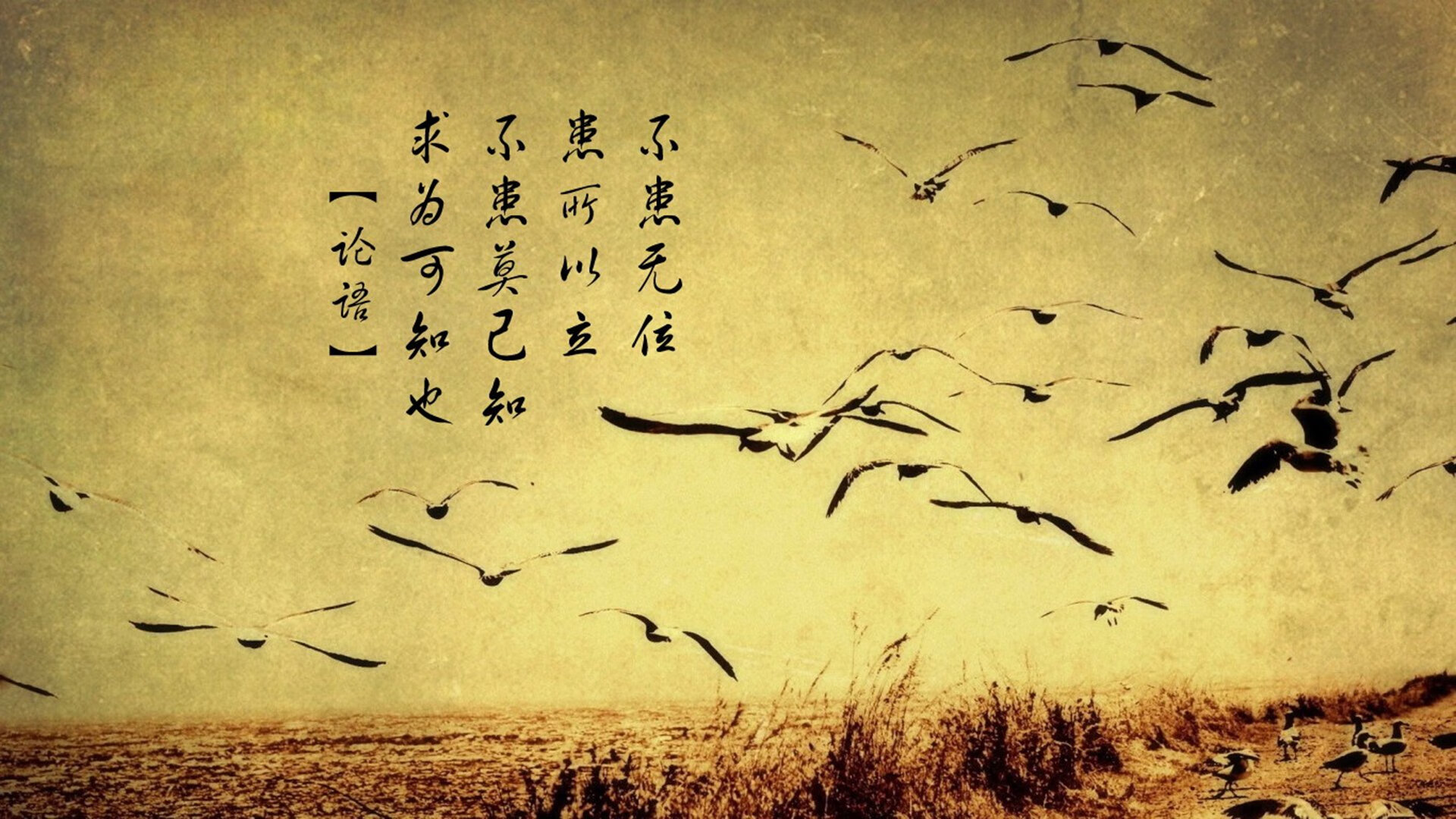 从防守黑洞到定海神针，约基奇锁死班凯罗，雷霆万钧一波流带走魔术