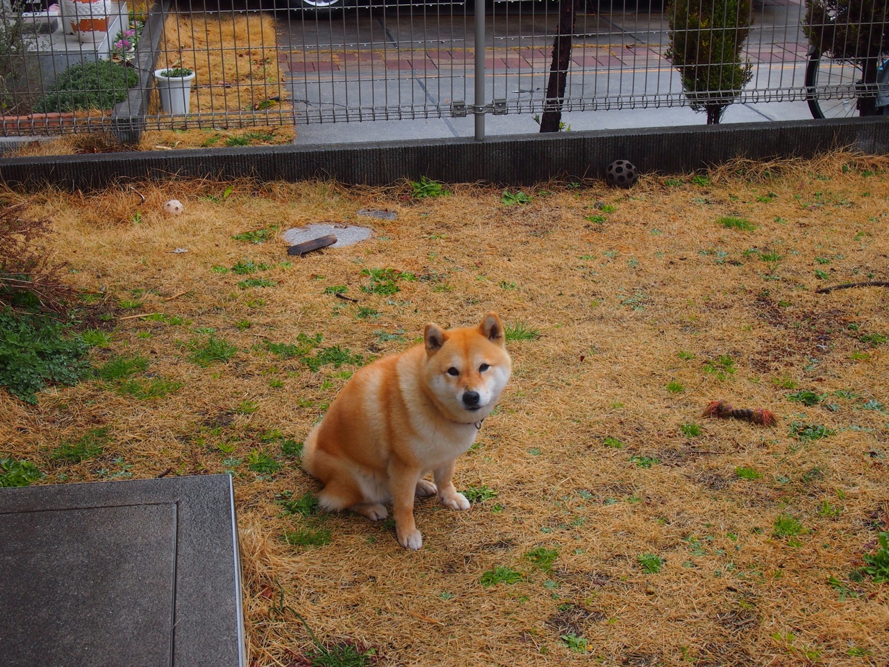 （思维扩展版）