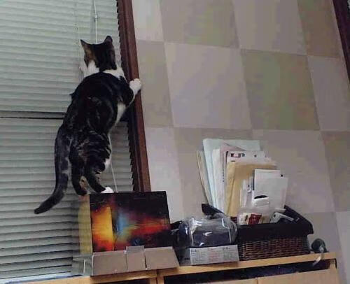 非洲之光刺破都灵之夜，摩洛哥如何以奇迹之手掀翻欧洲之王