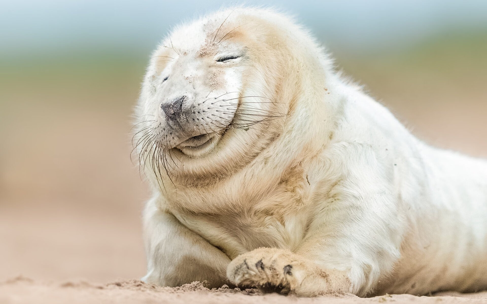 桥上的超新星，姆巴佩在塞维利亚与尼日利亚的非对称对决中点亮足球的纯粹可能