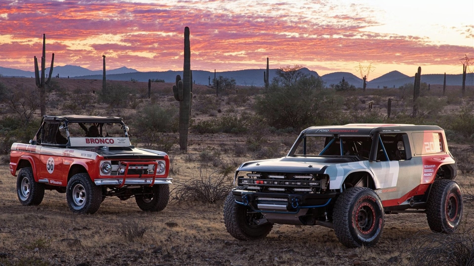 从王子公园到科纳克里，阿坎吉的洲际屏障，一场定义现代中卫的统治级演出