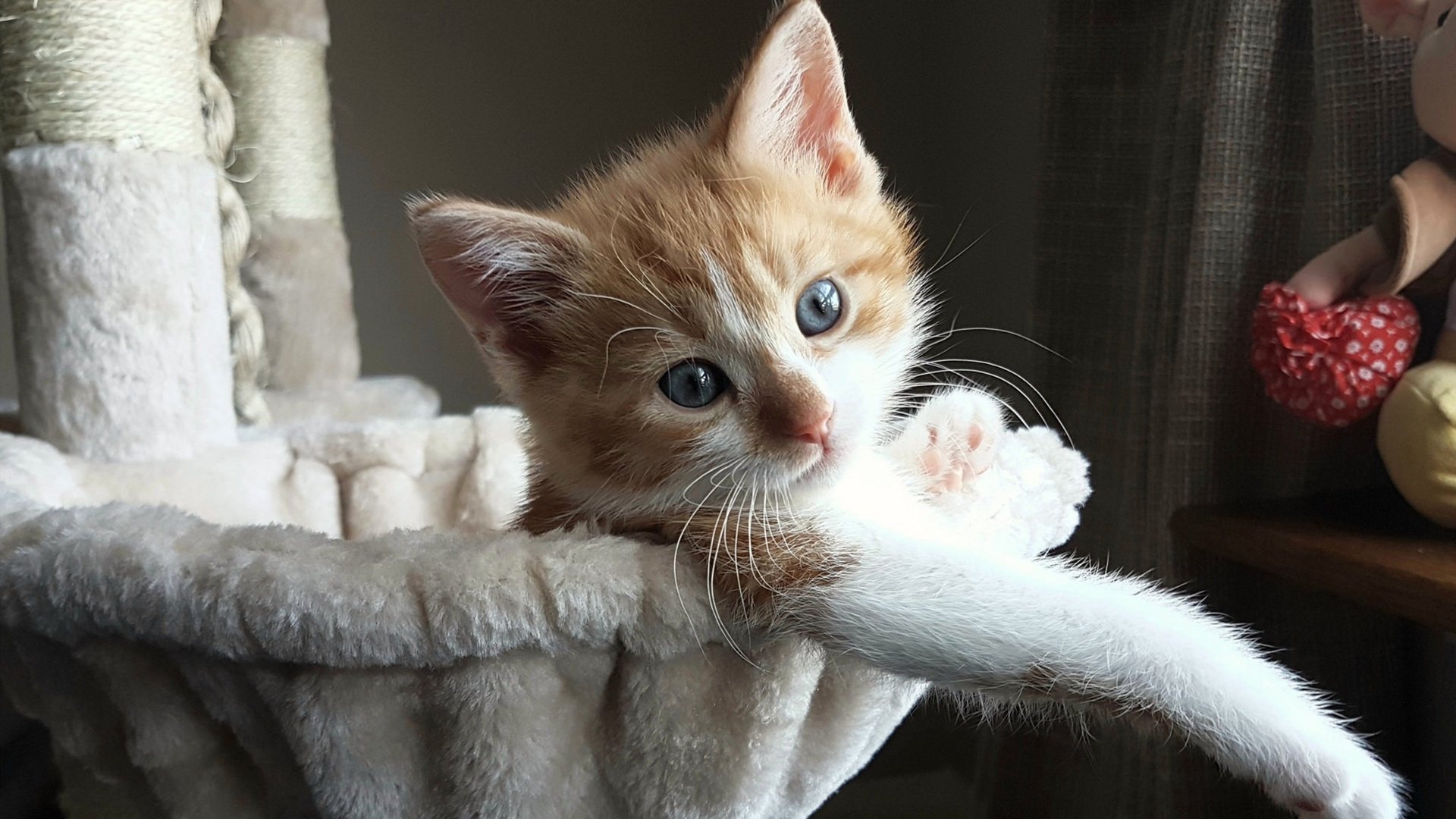 乾坤颠倒，当落日的权杖被羽刃加身