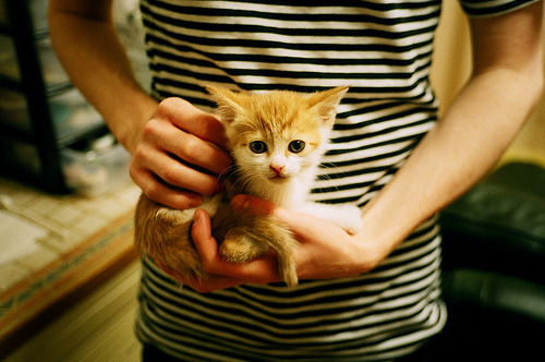 铁血与青春,从德甲争冠到灰熊咬碎76人的战术革命